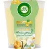Air Wick Duftkerze Fruhlingstraum Vanilleschote Und Jasmin 105G Outlet