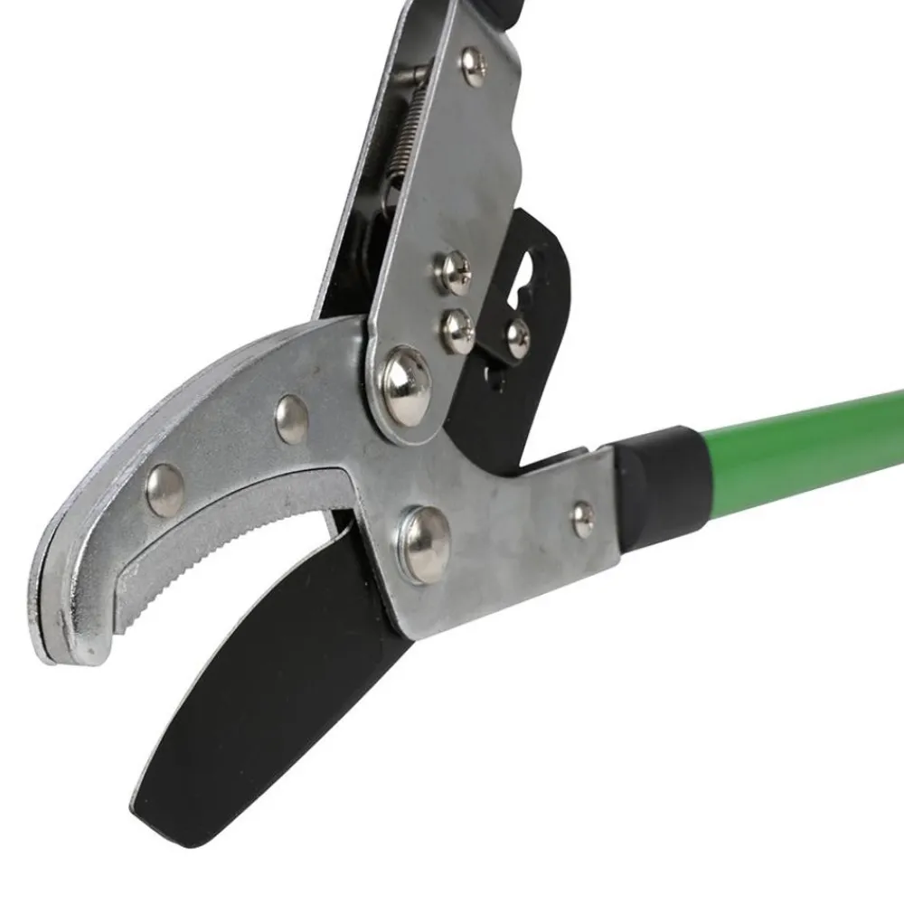 Grüner Jan Amboss-Teleskop-Astschere 93Cm Best
