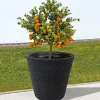 Prosperplast Blumentopf Matuba 48X45,5Cm Anthrazit