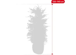 Hortiflora Europaische Eibe Taxus Baccata Heckenpflanze 120-140Cm Online