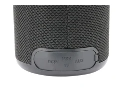 FDI Bluetooth-Lautsprecher -Bts100 Online