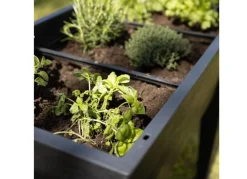 Grüner Jan Gruner Jan Xxl-Hochbeet Mit Gewachshaus-Effekt 100X106X49Cm New
