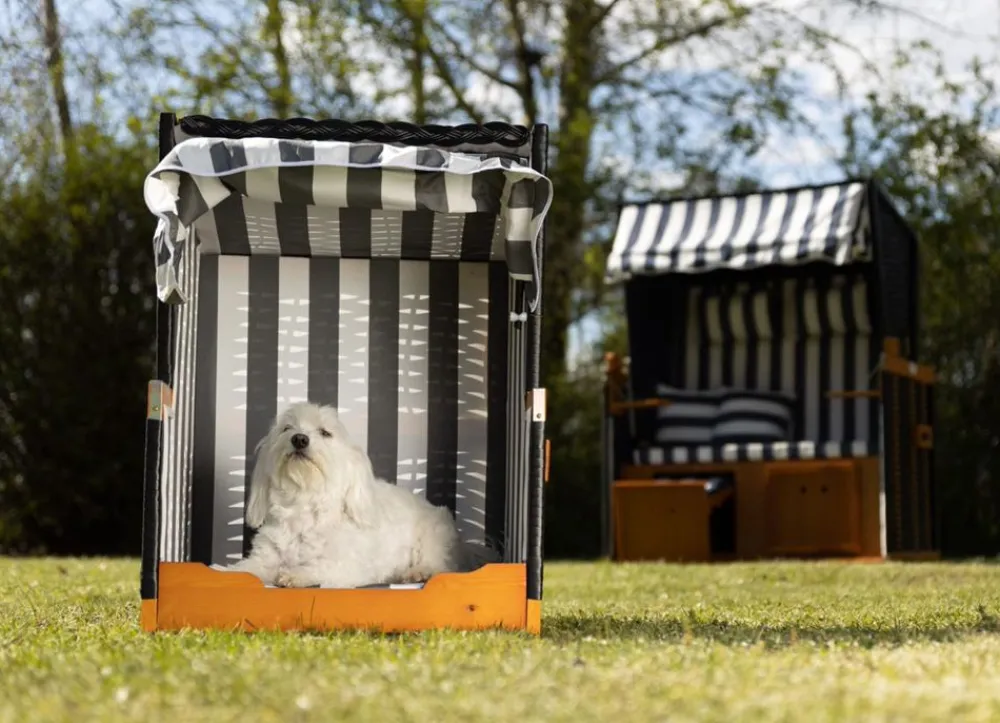 TP Hundestrandkorb Blau/Weis Best