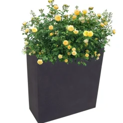 Jelenia Plast Kubus Pflanzkasten 59,5X26Cm Anthrazit Outlet
