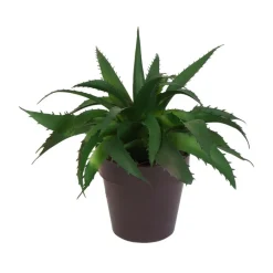 TP Kunstliche Aloe Vera Im Kunststofftopf 17Cm Dunkelgrun New