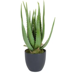 TP Kunstliche Aloe Vera Im Topf 45Cm Hot