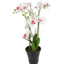 TP Kunstliche Orchidee Mit 3 Rispen Weis/Pink Discount