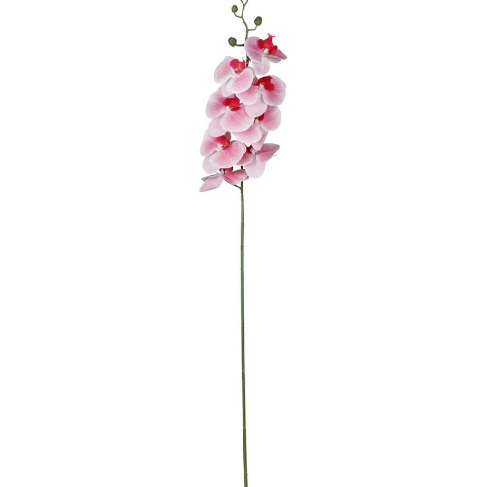 TP Kunstliche Orchideenrispe Mit 8 Bluten 103Cm Clearance