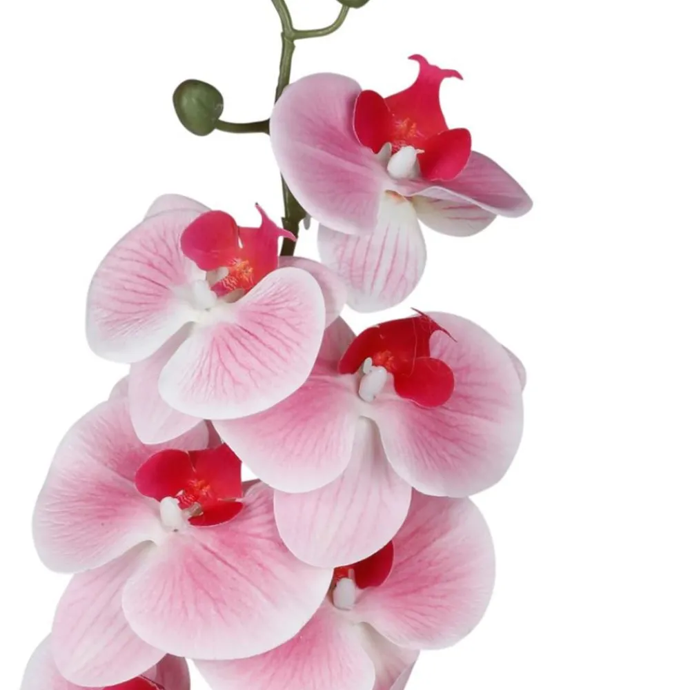 TP Kunstliche Orchideenrispe Mit 8 Bluten 103Cm Clearance