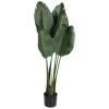 Flowers for You Kunstliche Xxl Strelitzie Im Topf 125Cm Outlet