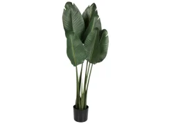 Flowers for You Kunstliche Xxl Strelitzie Im Topf 125Cm Outlet