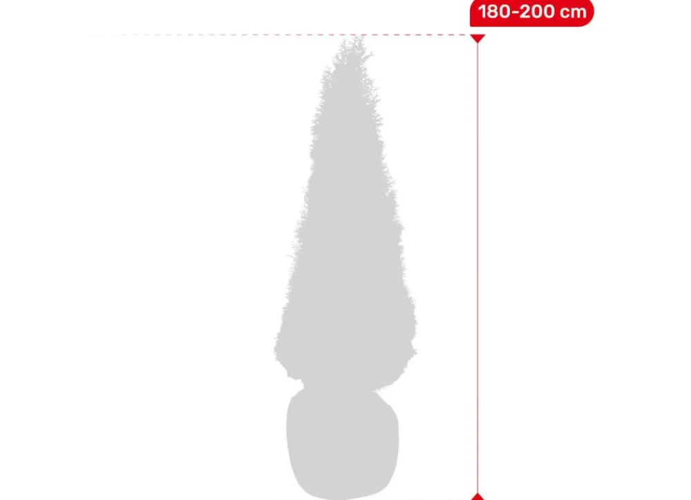 Hortiflora Lebensbaum Thuja Occidentalis Smaragd Heckenpflanze 180-200Cm New