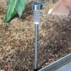 TP Led-Solarlicht Gartenstecker 5,5X49,5Cm Kaltweis Discount