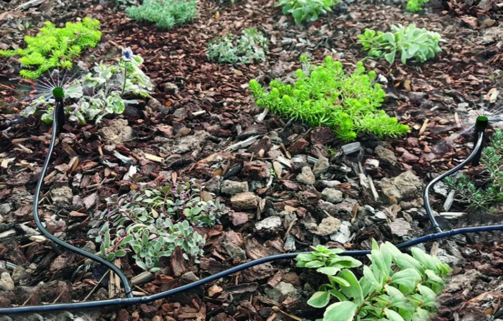 Grüner Jan Mini-Bewasserungssystem 14-Teilig Sale
