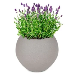 Pseudohersteller Pflanztopf Kugel 34Cm Sand New