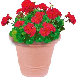 Jelenia Plast Pflanztopf Siena 34X28Cm Terrakotta Outlet