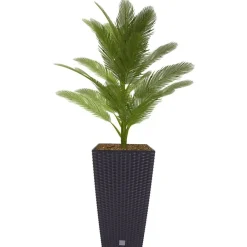 Prosperplast Polyrattan-Pflanztopf Mit Einsatz 26X50,5X26Cm Anthrazit New