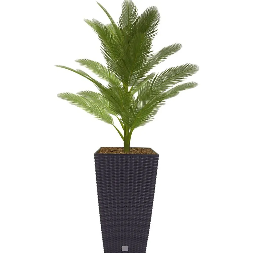 Prosperplast Polyrattan-Pflanztopf Mit Einsatz 26X50,5X26Cm Anthrazit New