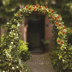 TP Rosen-Gartenbogen 140X240Cm Outlet