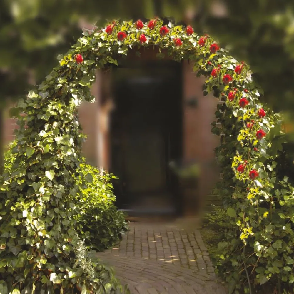 TP Rosen-Gartenbogen 140X240Cm Outlet