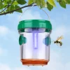 Grundig Solar-Wespenfalle 3Er-Set Clearance