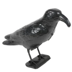 Lifetime Garden Taubenschreck Krahe Mit Bewegungssensor Discount