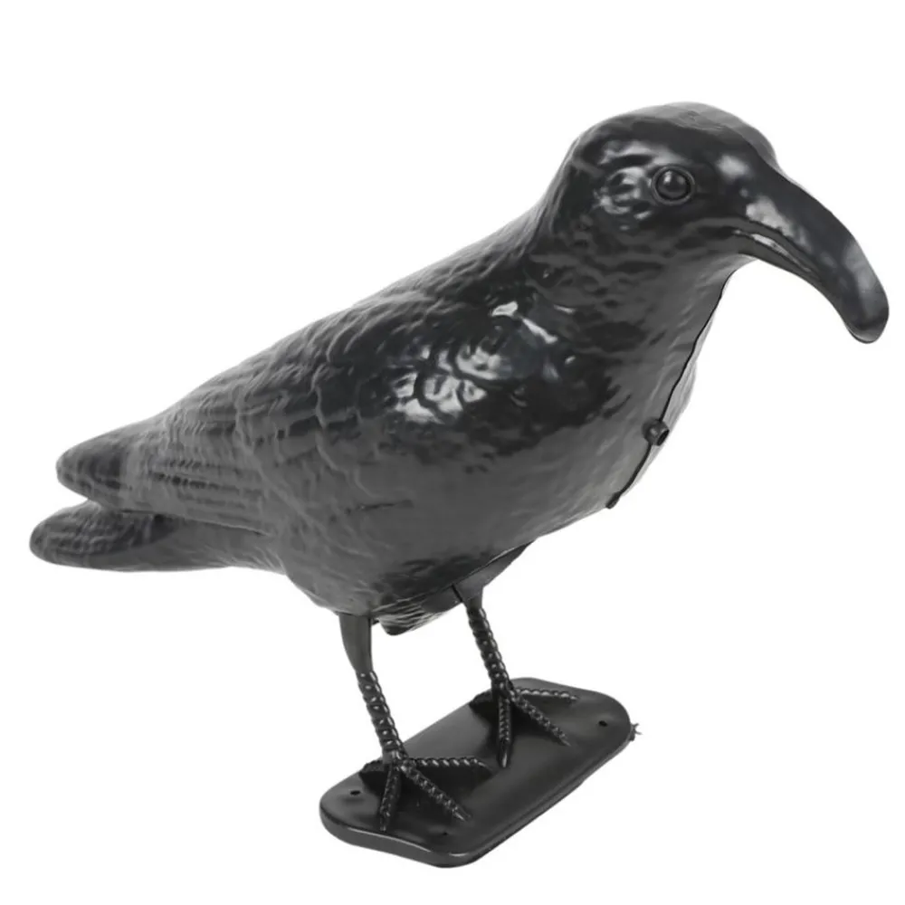 Lifetime Garden Taubenschreck Krahe Mit Bewegungssensor Discount
