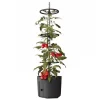 Plastkon Tomatenpflanztopf Mit Rankhilfe 29Cm Anthrazit Online
