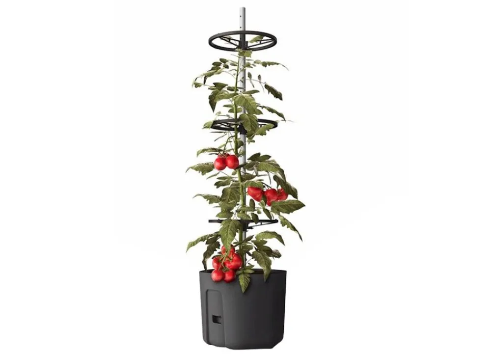 Plastkon Tomatenpflanztopf Mit Rankhilfe 29Cm Anthrazit Online