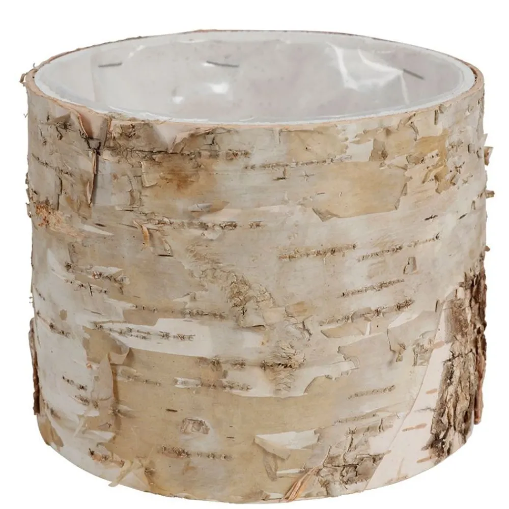 TP Ubertopf Birkenstamm 11X9Cm Hot