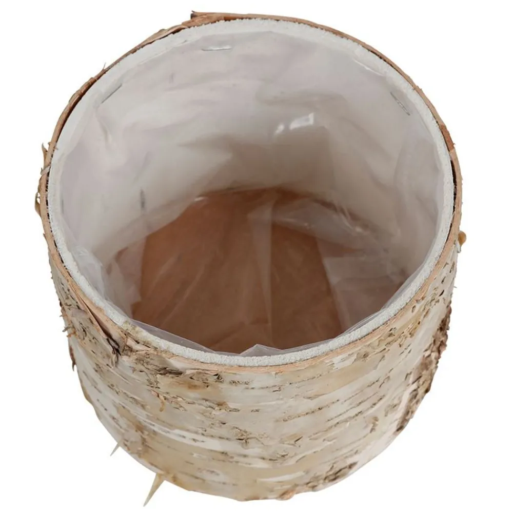 TP Ubertopf Birkenstamm 11X9Cm Hot