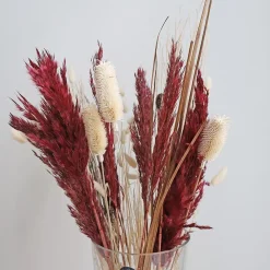 TP Weise Distel Getrocknet 70Cm 5-Teilig Clearance