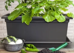 Plastkon Xxl Pflanzkasten Magnus 80X39X37Cm Anthrazit Online