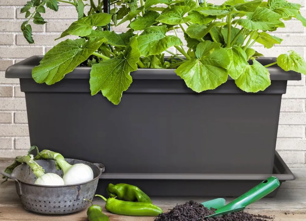 Plastkon Xxl Pflanzkasten Magnus 80X39X37Cm Anthrazit Online