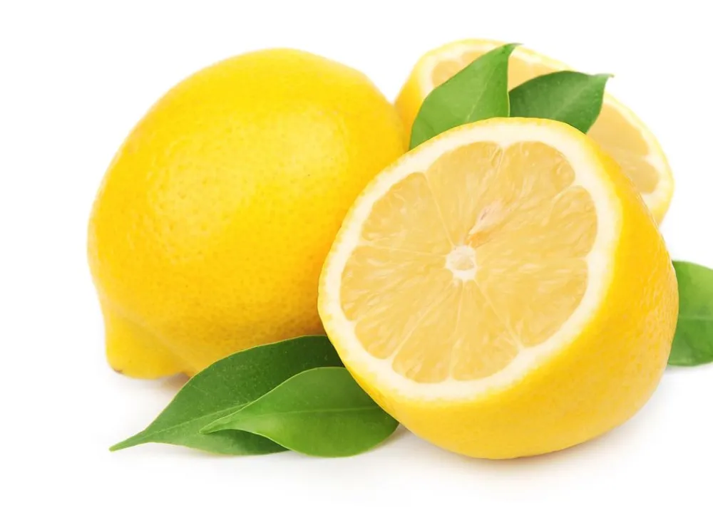 Hortiflora Zitronenbaum Citrus Limon 140-160Cm Outlet